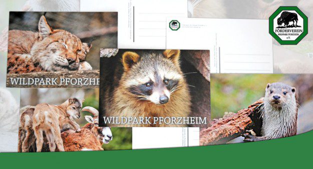 kaundvau_blog_wildpark kaundvau_blog_wildpark