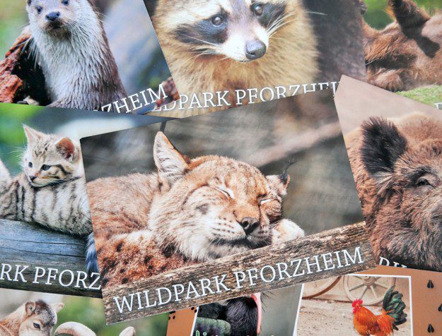 kaundvau - Wildpark Postkarten