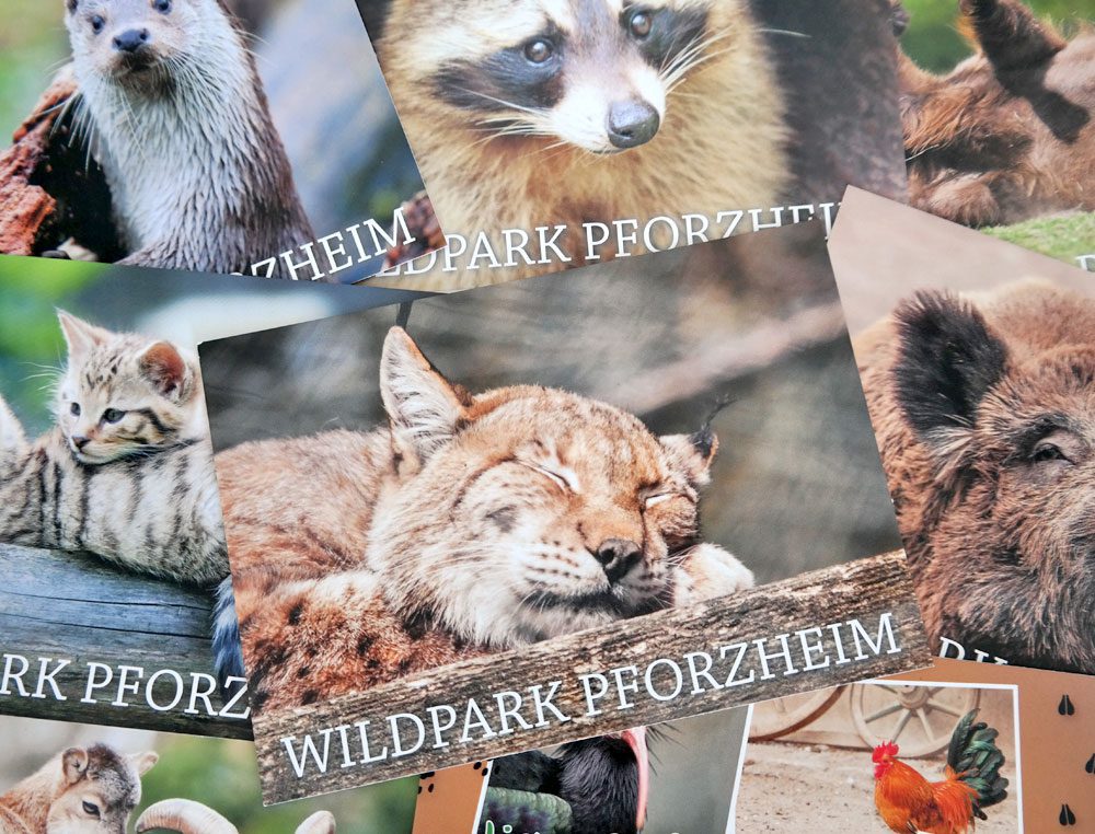 kaundvau - Wildpark Postkarten