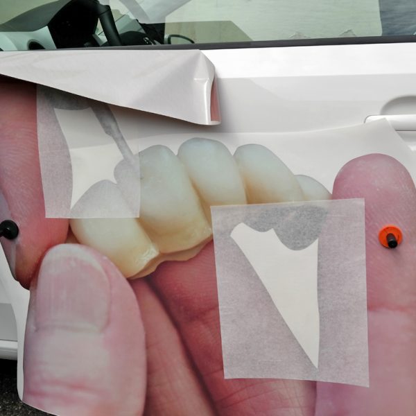 Kaundvau Portfolio Werbemittel Gause und Gonzalez Autobeklebung