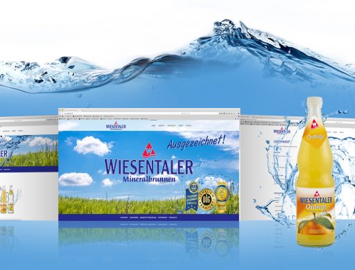 Kaundvau Portfolio Online Wiesentaler Webseite